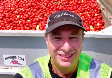 Dave Morning Star